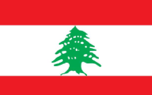 لبنان يبدأ التنقيب عن الغاز في العام 2019