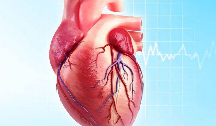 أهم المعلومات عن مرض القلب لدي الشباب وأسباب الاصابة به