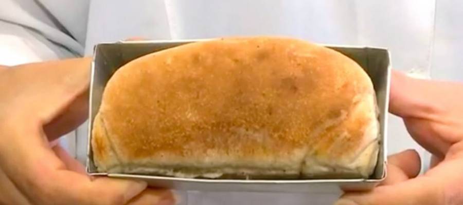 خبز مصنوع من الصراصير! ولكنه يحتوي على بروتين أكثر من اللحوم الحمراء.. هل تفكر بتجربته؟