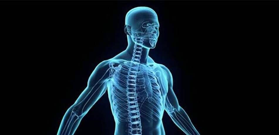 العلماء يحذرون.. هذه الأعضاء ستختفي من جسم الإنسان!