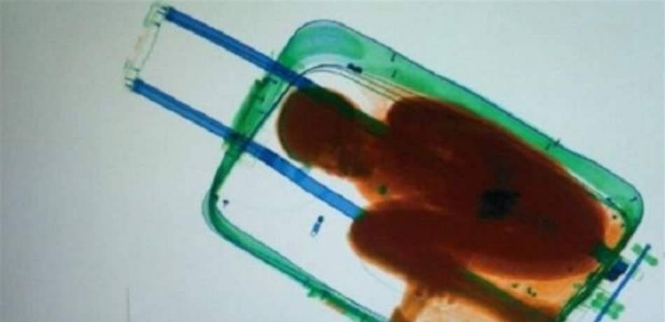 طريقة غريبة.. نجمة تتنقّل داخل حقيبة سفر