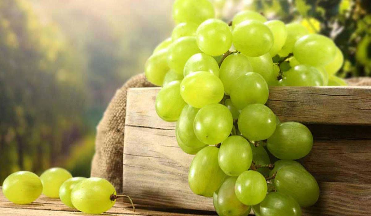 تناولوا قشر العنب لمحاربة هذا النوع من السرطان!