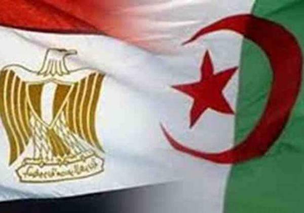 3.6 مليار دولار حجم الإستثمار بين مصر والجزائر