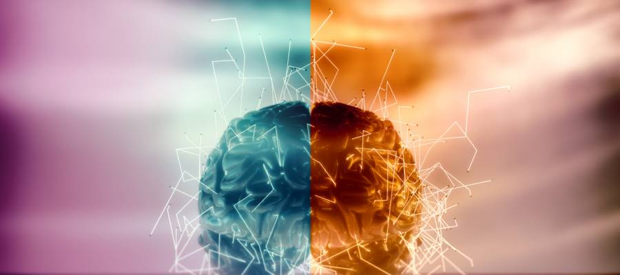 علماء يصححون مفهوم خاطئ عن الدماغ