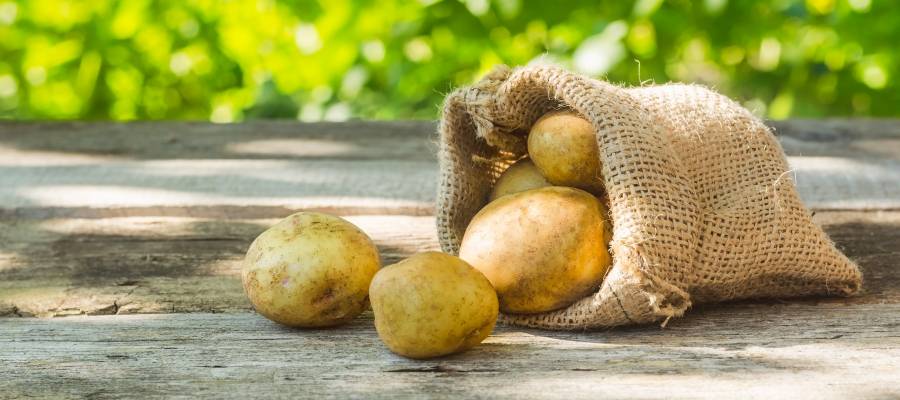 احذر تخزين البطاطا في الثلاجة لهذه الأسباب!