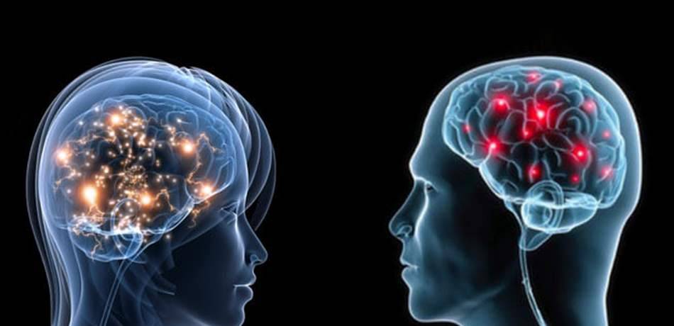 ما هي أوجه الاختلاف بين دماغ الرجل والمرأة؟