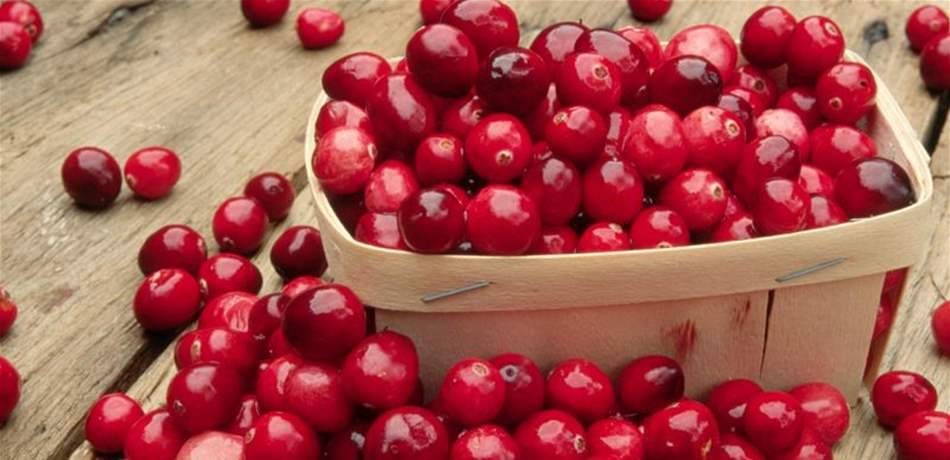 تعرّفوا إلى المانوز.. السكر الخارق!