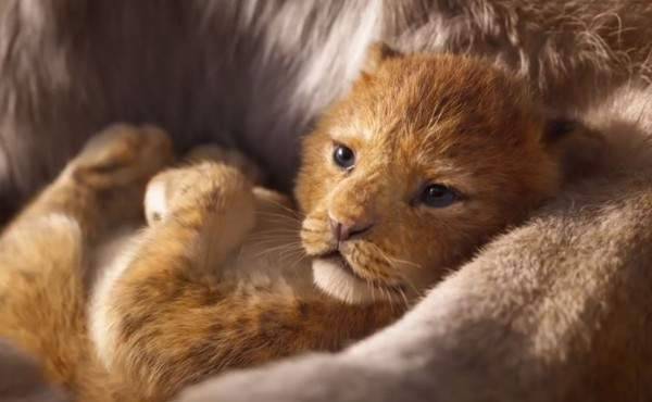 ترايلر THE LION KING يحقق إنجازاً كبيراً في تاريخ إنتاجات ديزني