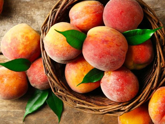 فوائد الخوخ للقلب والصحة العامة ومنع الإصابة بالسرطان