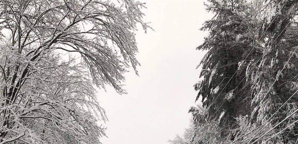 دراسة مخيفة: الثلوج قد تقتلكم!