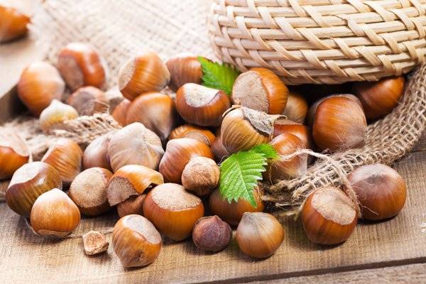 البندق من المكسرات ذات الفائدة الكبيرة للإنسان وهذه أبرز حسناته