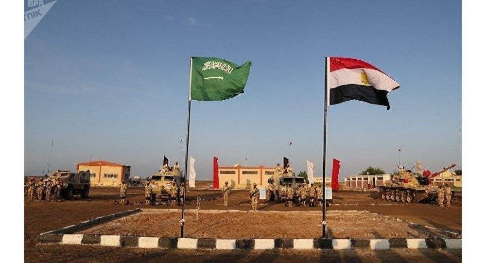 تعاون ومشاريع مشتركة بين الإنتاج الحربي المصري و المؤسسة العسكرية السعودي