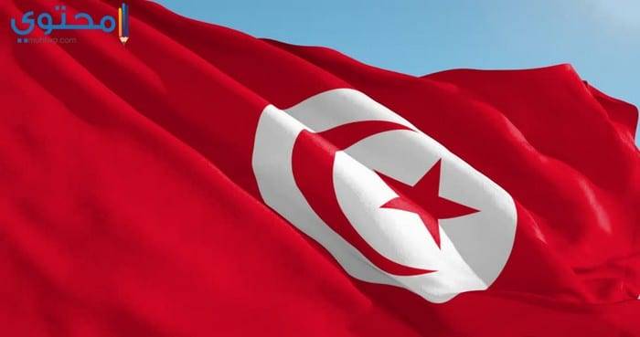 الحريات الفردية والمساواة في الميراث أمام البرلمان التونسي بعد تصديق السبسي