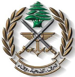 الجيش: تفجير ذخائر في محيط بلدة يارين