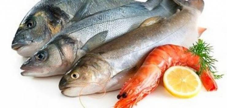 دراسة: الأسماك الدهنية تكافح سرطان العظام