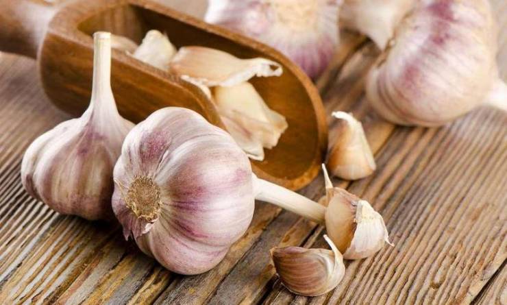 ما الضرر الذي يسببه الثوم للجسم؟