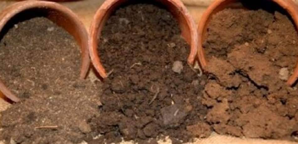 مشروع لتطهير التربة في الكويت بقيمة 2.4 مليار دولار