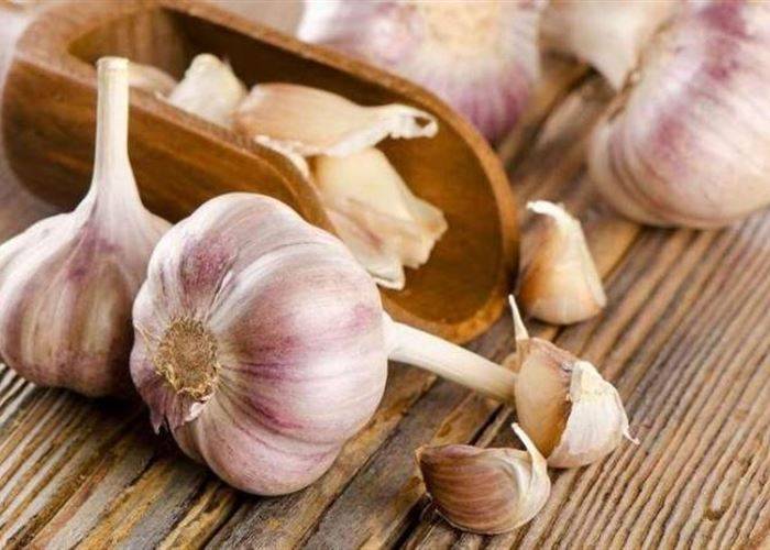 ما الضرر الذي يسببه الثوم للجسم؟