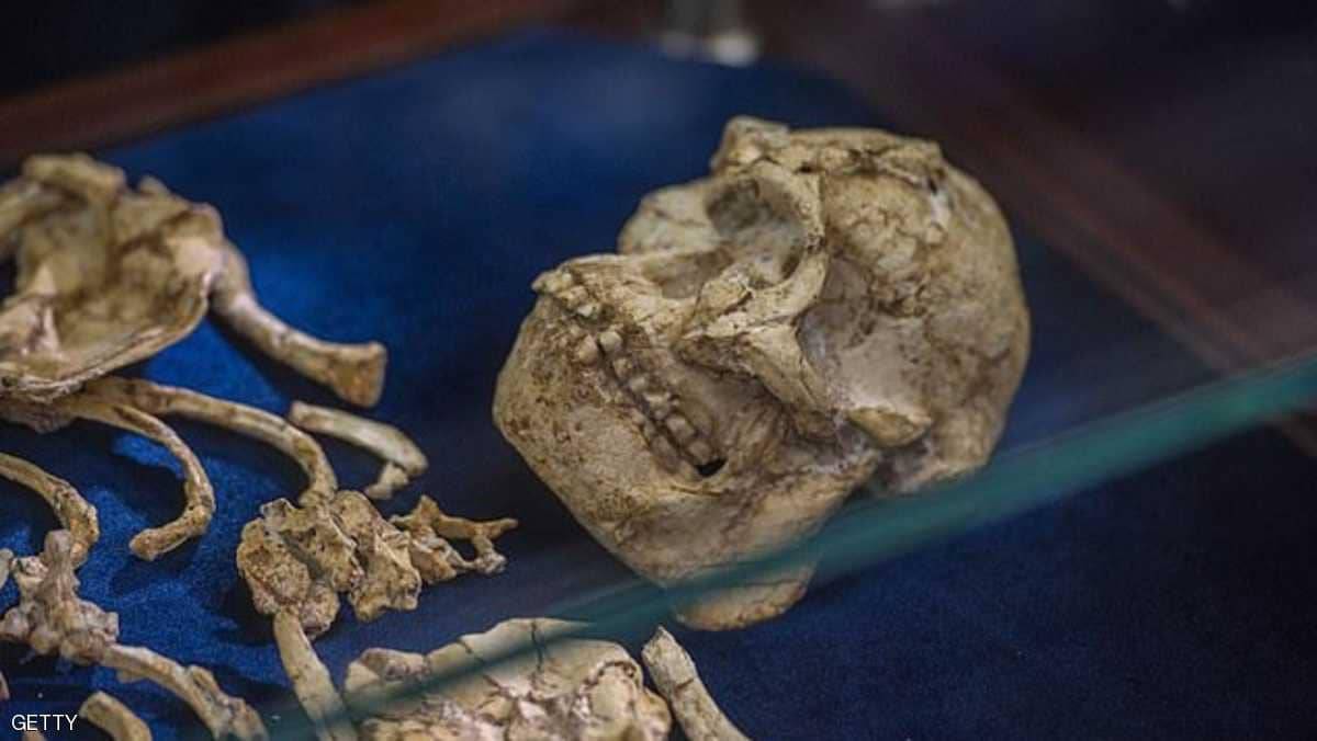 علماء يزعمون اكتشاف نوع جديد من الإنسان القديم