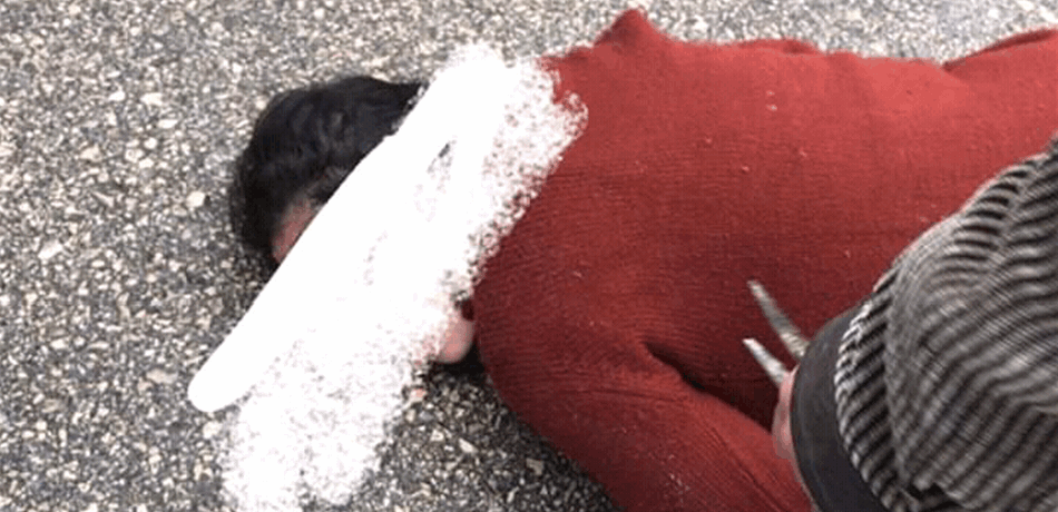 في عكّار.. أصيبت دهساً عن طريق الخطأ! (صورة)