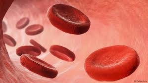 علاج قريب لمرض سرطان الدم؟!