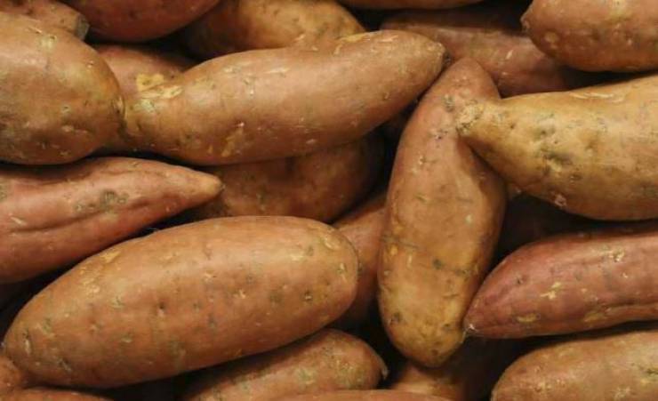 البطاطا الحلوة.. كيف تفيد مرضى السكري؟