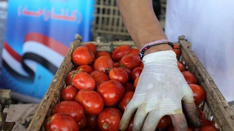 نقيب الفلاحين يكشف عن كارثة خطيرة في بذور طماطم (023) تنتظر مصر