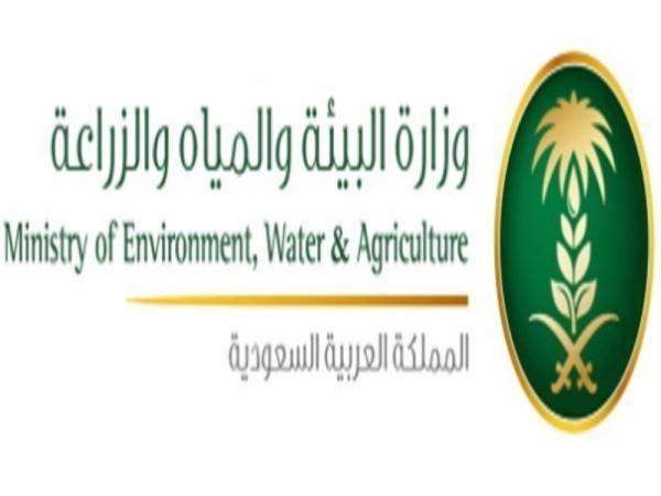 وزارة الزراعة السعودية: "برنامج التنمية الريفية" يوفر 19 % من احتياجات المملكة الغذائية