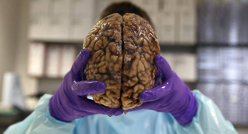علماء روس يستخدمون فيروسا لقتل سرطان الدماغ