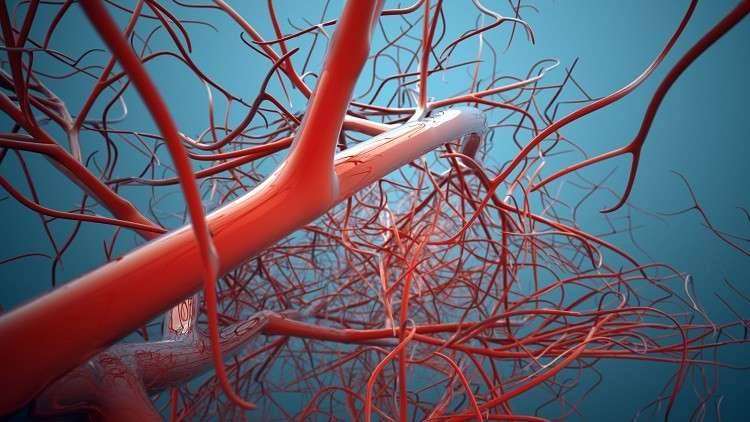 نجاح زراعة أوعية دموية بشرية في المختبر لأول مرة