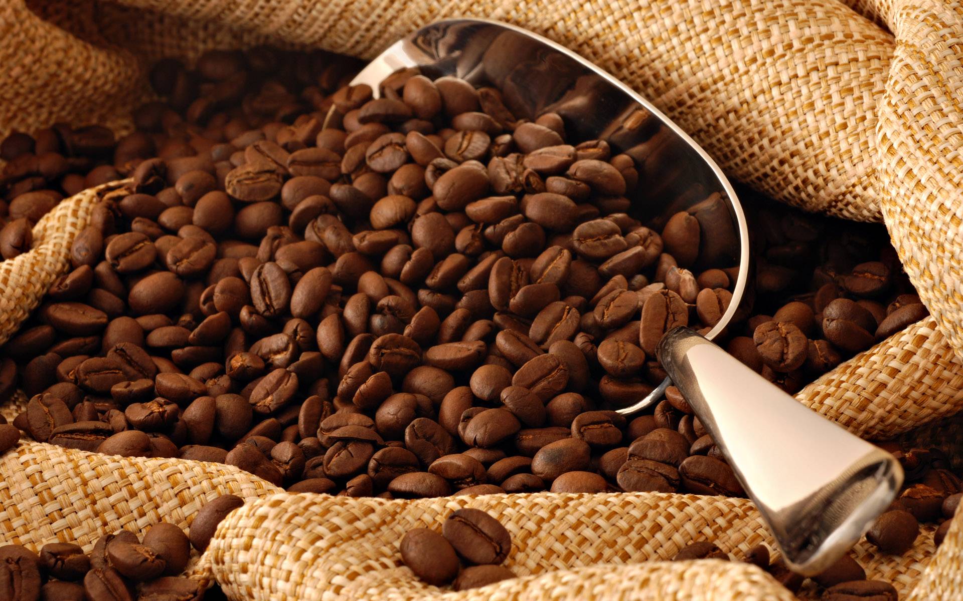 لماذا مستقبل القهوة في خطر؟
