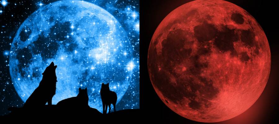 الذئب والدموي والأزرق.. تعرّف على أنواع خسوفات القمر Lunar eclipse وأسرارها