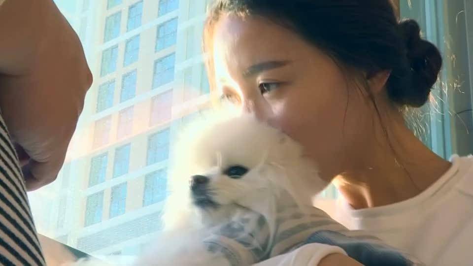 Young South Koreans are choosing pets over kids