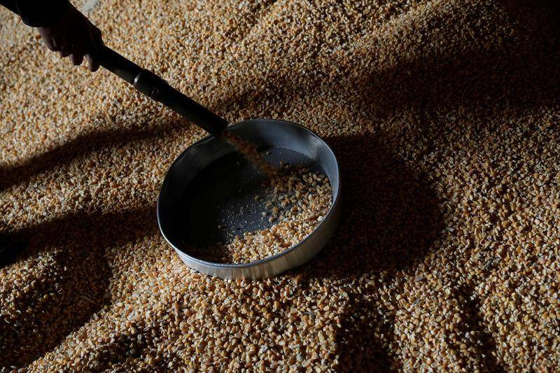 Brasil deve exportar mais milho que soja em janeiro pela 1ª vez em um ano