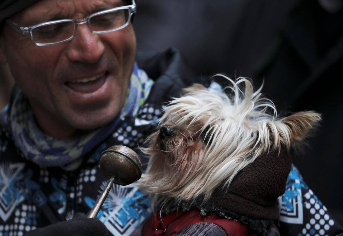 Pets, owners flock to Madrid church for blessing of animals
