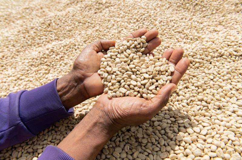 Ugandan firm uses blockchain to trace coffee from farms to stores