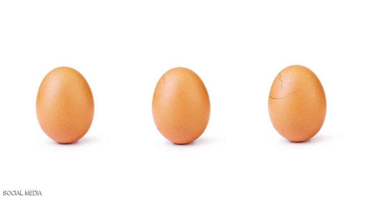 البيضة التي هزمت كايلي جينر "تفقس".. وفيديو يحكي قصة الصورة