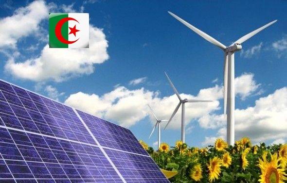 الجزائر.. توجه نحو "الطاقة النظيفة" لتوليد الكهرباء