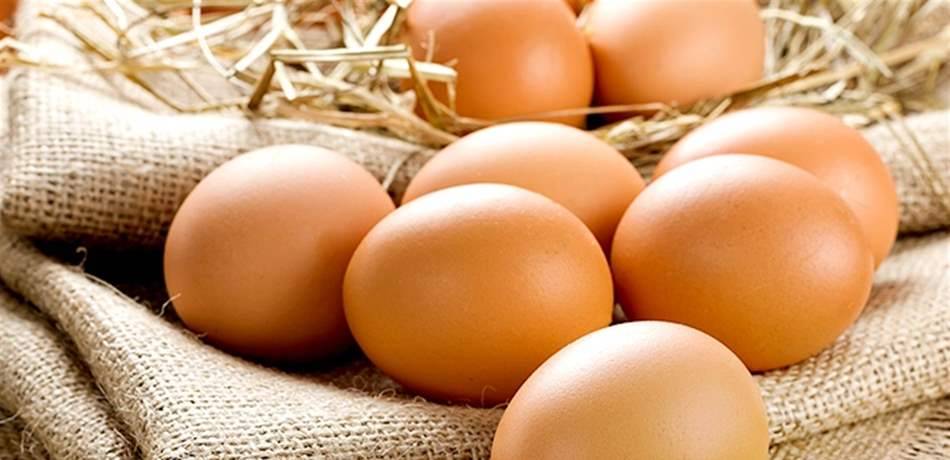 تعديلٌ ثوري: دجاج يضع بيضًا فيه "أدوية" مضادة للسرطان!