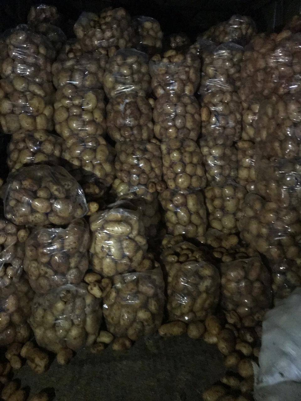 تهريب اطنان من البندورة و البطاطا من سوريا..و الجمارك بالمرصاد