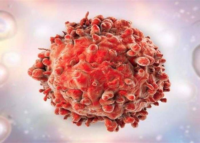 علماء يدّعون اكتشاف أول علاج نهائي للسرطان خلال عام