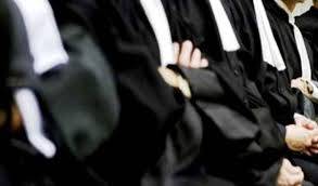المحامون في مئوية أولى