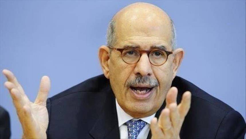 البرادعي يتفاعل مع 