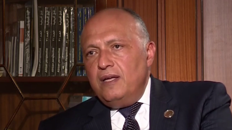 شكري: دور تركيا في ليبيا مقلق