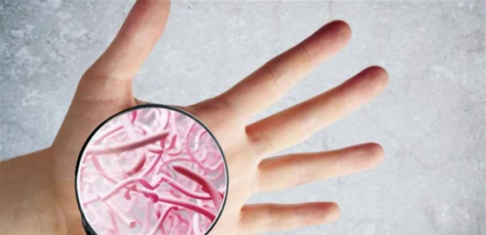 في هذه الأماكن تتجمع الجراثيم في منازلكم!