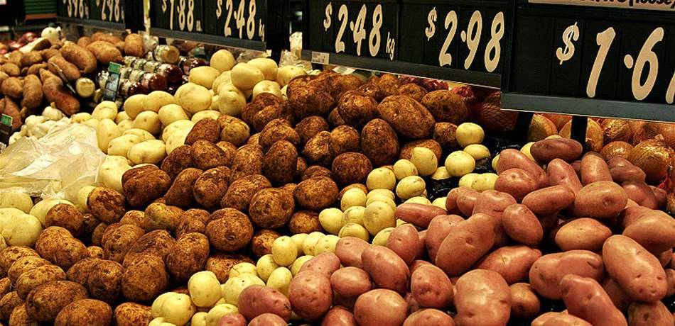 جورج الصقر نقيباً لمزارعي البطاطا في البقاع