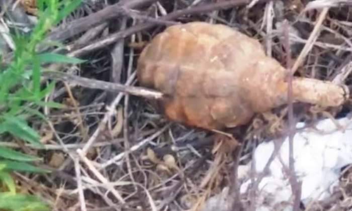 جريحان في انفجار قنبلة يدوية قديمة في جزين