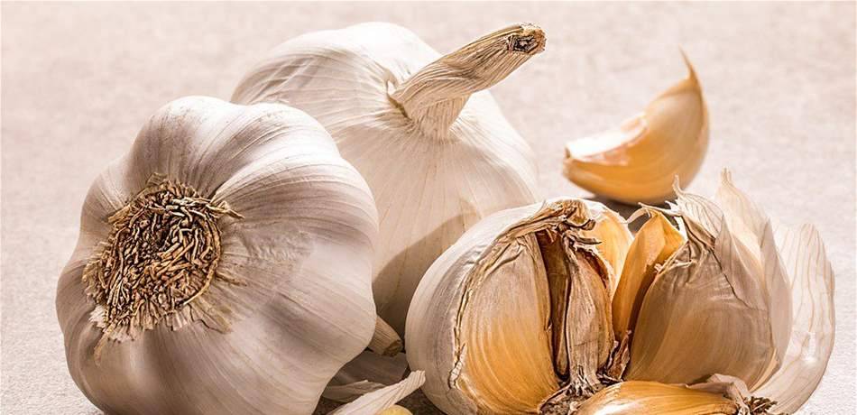 الثوم علاج فعلي للكثير من الأمراض