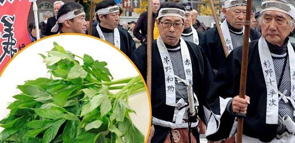نبتة الساموراي تمنع السرطان وتُطيل العمر.. إليكم سرّها!