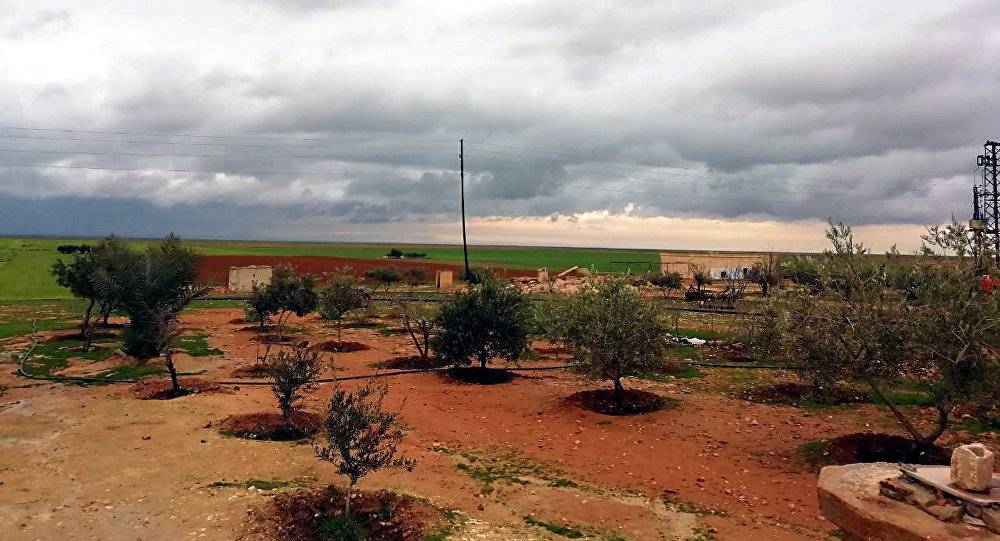 مقتل 24 مدنيا إثر انفجار لغم في ريف سلمية وسط سوريا